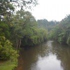 Sungai Sekonyer