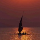 Sailing boat at sunset