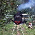 Vapeur dans la jungle