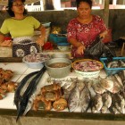 Marché aux poissons à Parangtritis