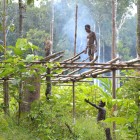 Construction Korowai