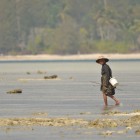 A la pêche…