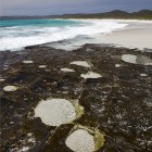 Friendly Beaches, Freycinet