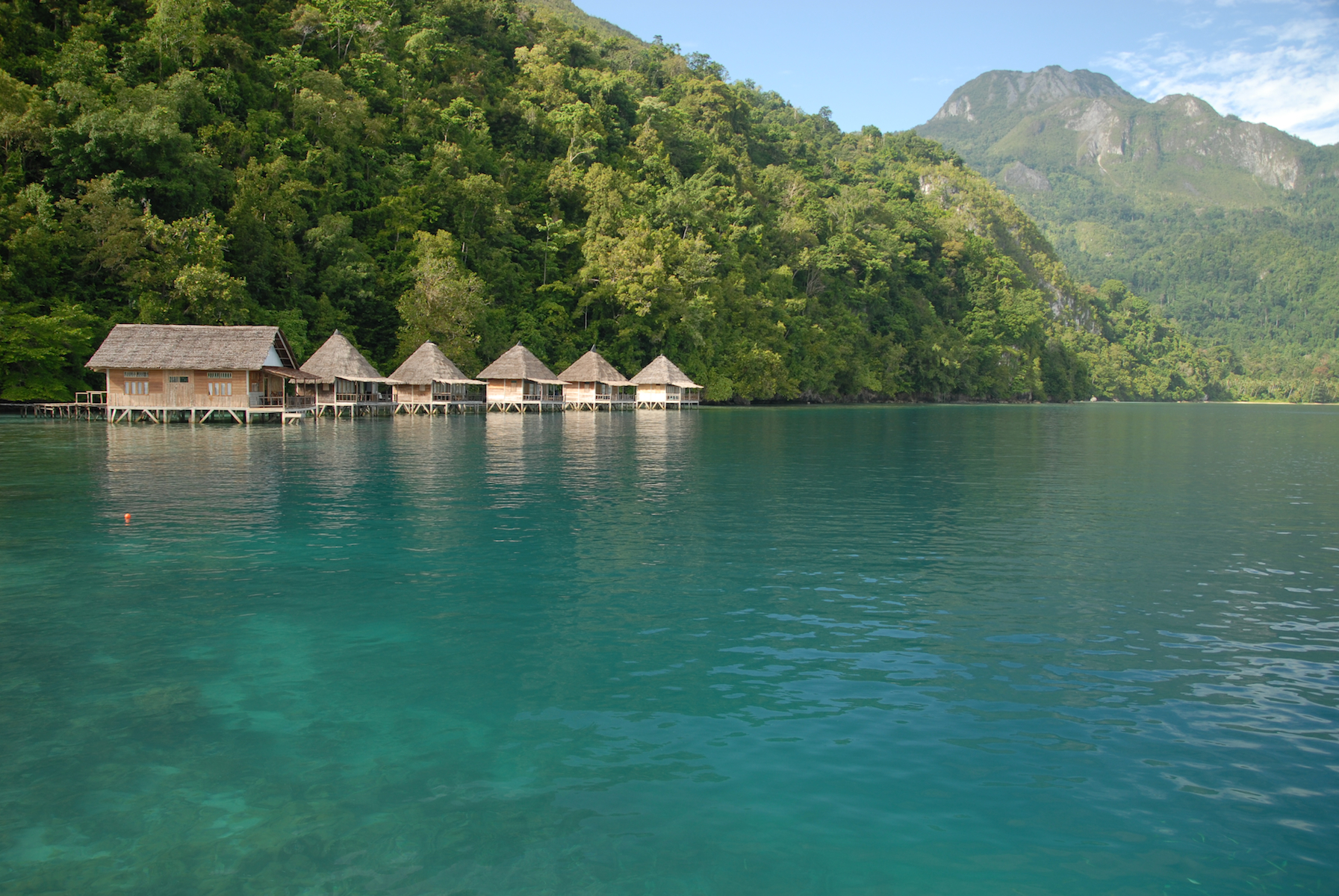 bay seram seram in the calm of paradise kasoar travel bay seram seram in the calm of paradise kasoar travel